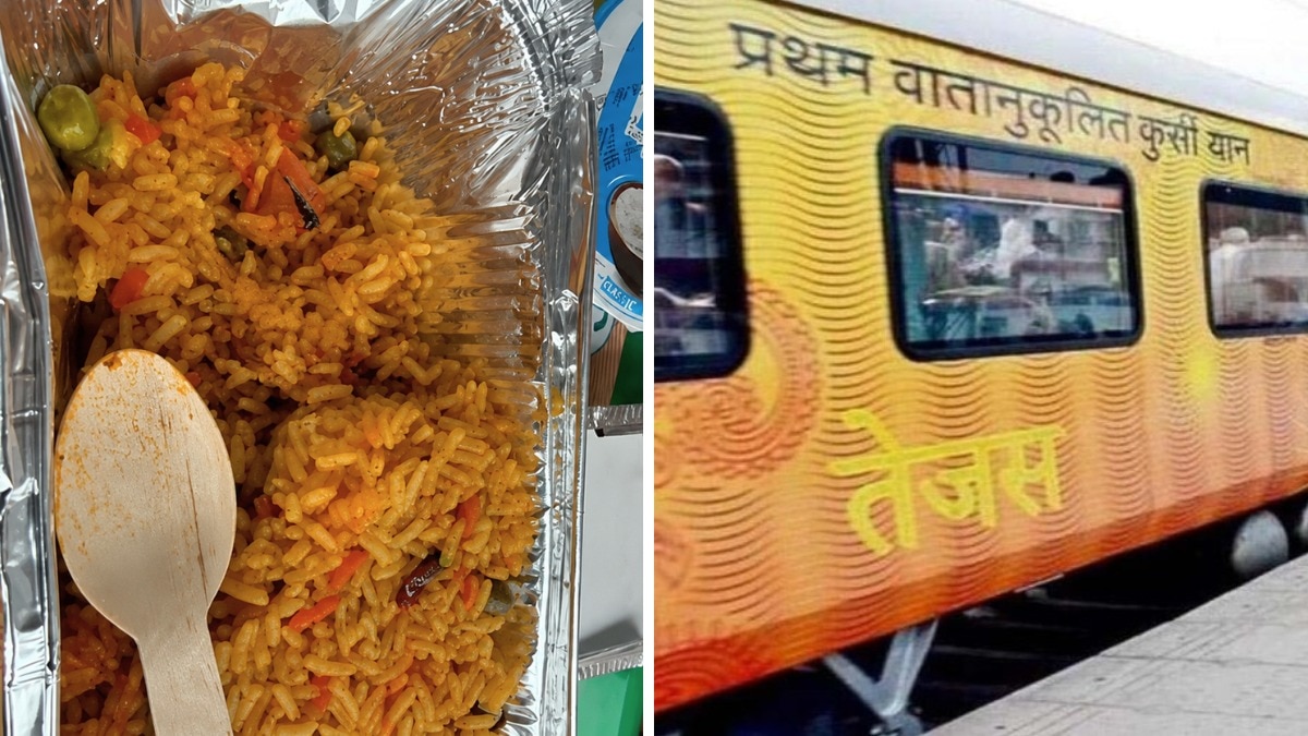 train food fly
