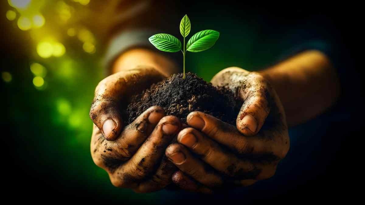 तेज गर्मी में भी ठंडी रहेगी मिट्टी