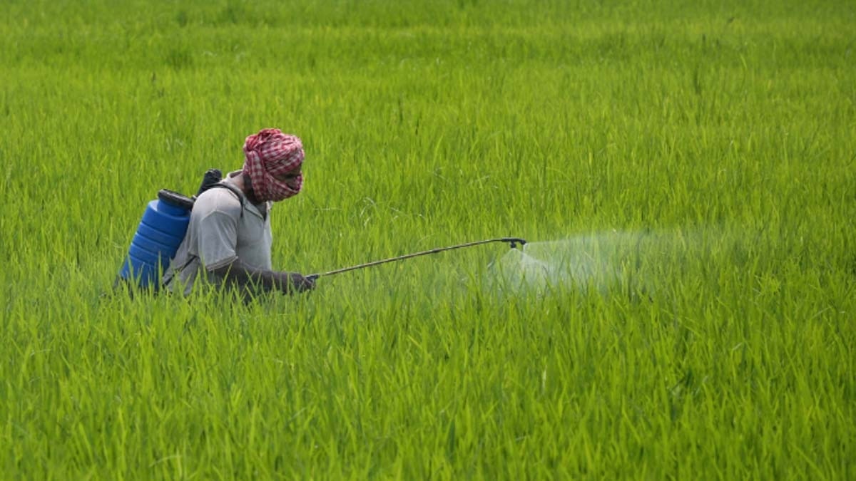 Pesticides Side Effects: मधुमक्खियों के लिए खतरनाक है कार्बोफ्यूरान (फाइल फोटो- PTI)