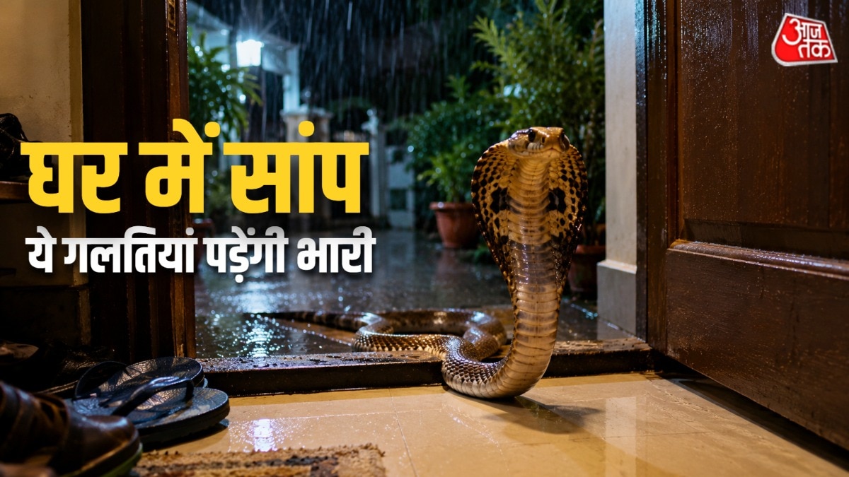 बारिश में घरों में सांप आ जाना कॉमन है. (Photo: AI Generated)