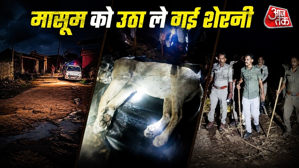 नौ घंटे तक चला शेरों को पकड़ने का अभियान. (Photo: ITG)