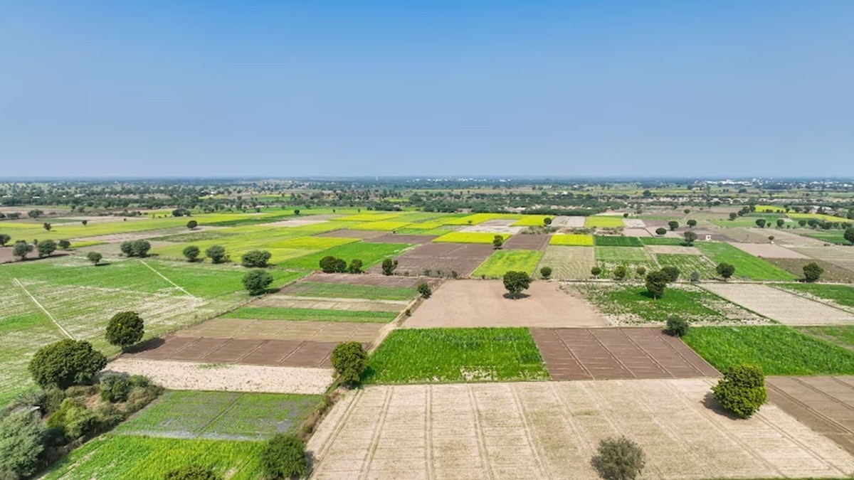 बिहार में 1 रुपये में मिलेगी जमीन, बस पूरी करनी होगी ये शर्त (Photo: pexels)