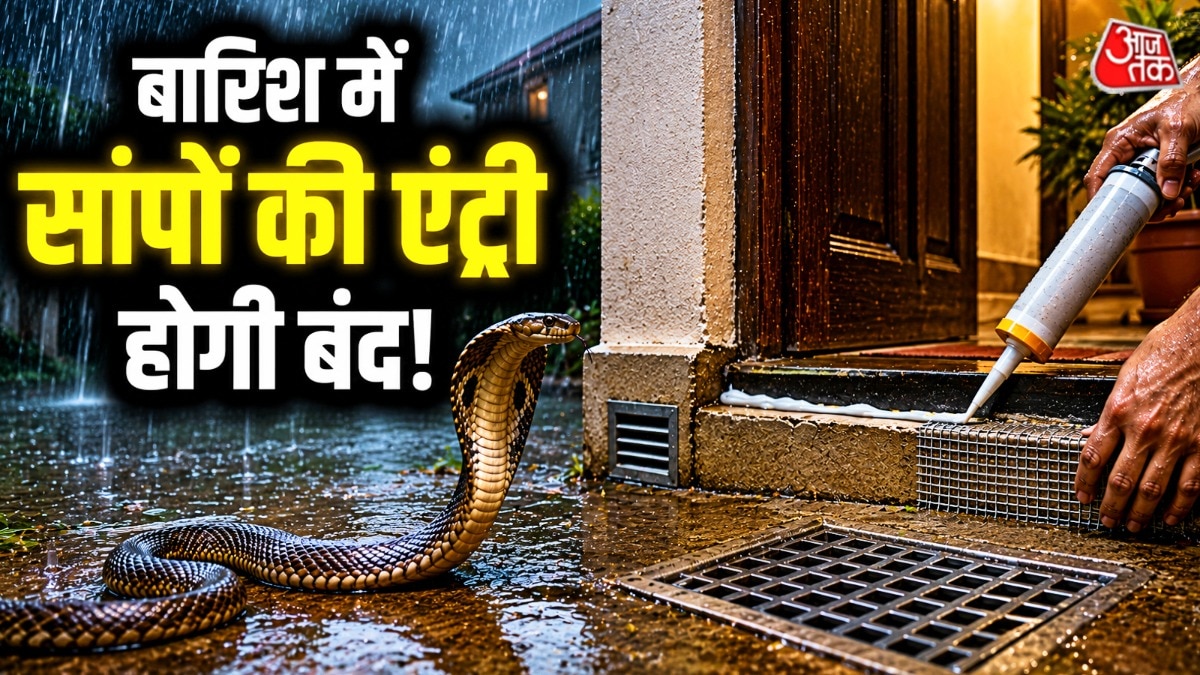 बारिश के मौसम में सांपों की आवाजाही बढ़ जाती है. (Photo: AI Generated)