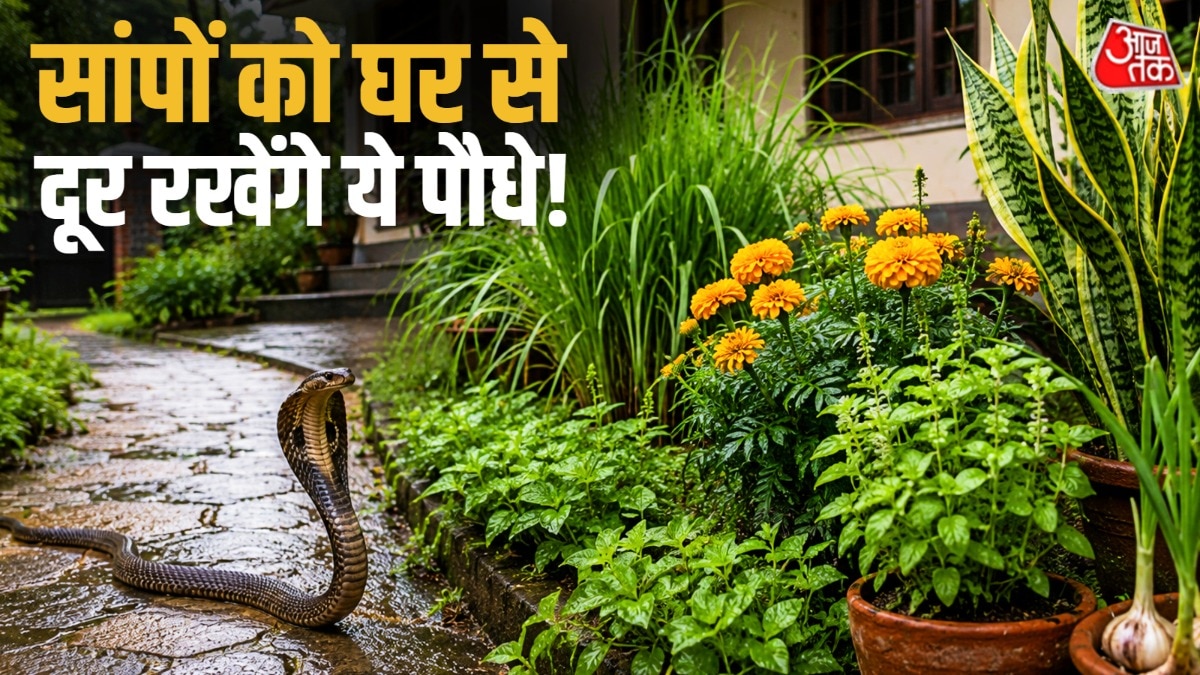 Plants that keep snakes away from home