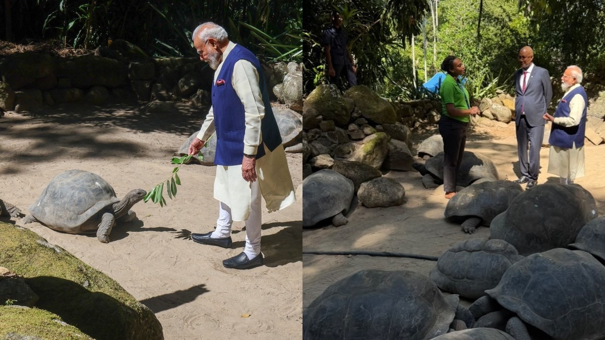Narendra Modi Seychelles