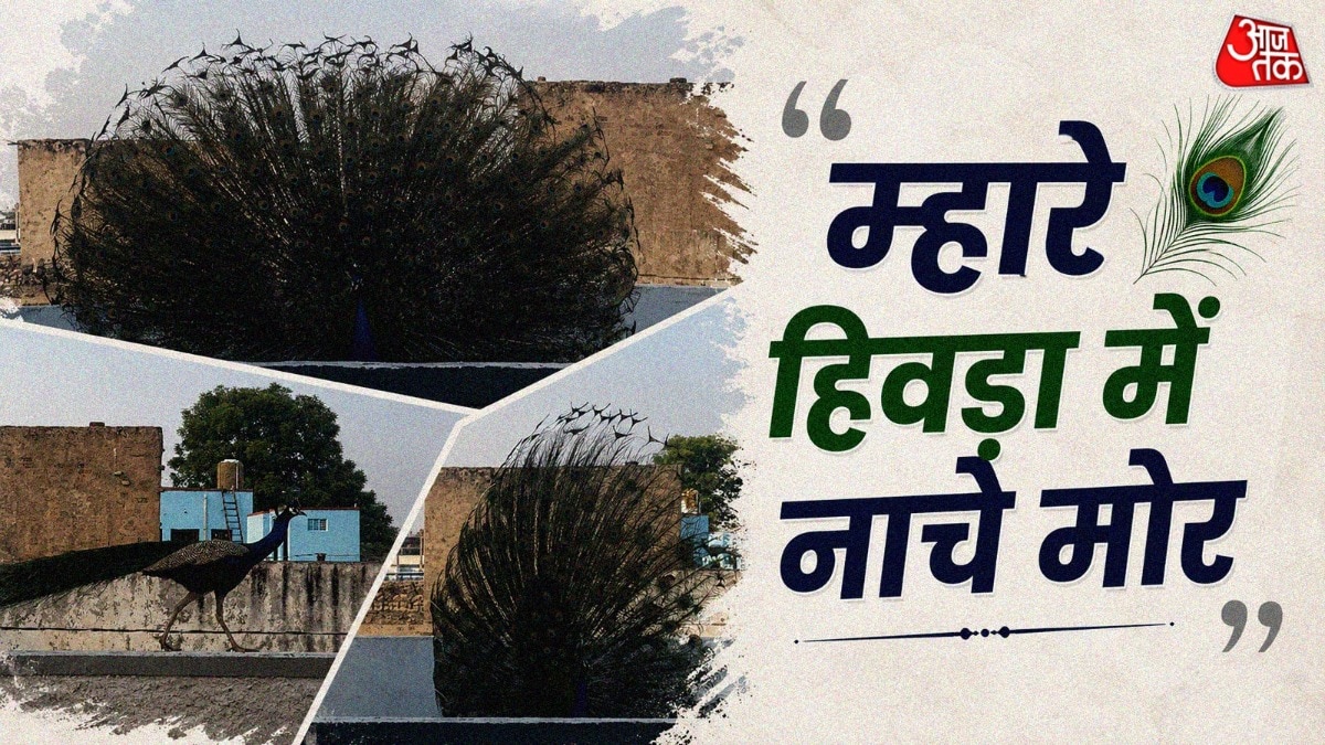 यह वीडियो राजस्थान के रहने वाले अभिजीत चौधरी ने शेयर किया है (Photo:Insta/@abhijeetchaudhxry)