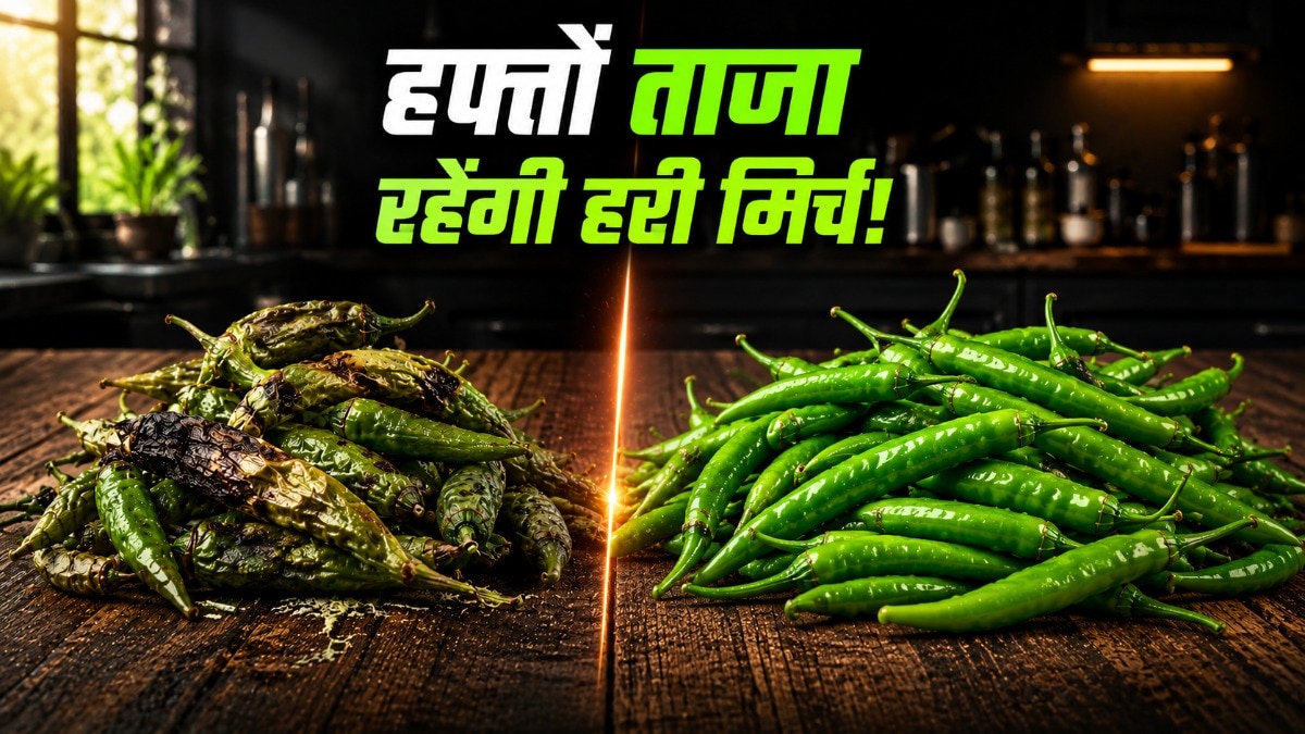 हरी मिर्च को ताजा रखने के लिए उन्हें स्टोर करने से पहले सुखाना जरूरी है. (Photo: ITG)