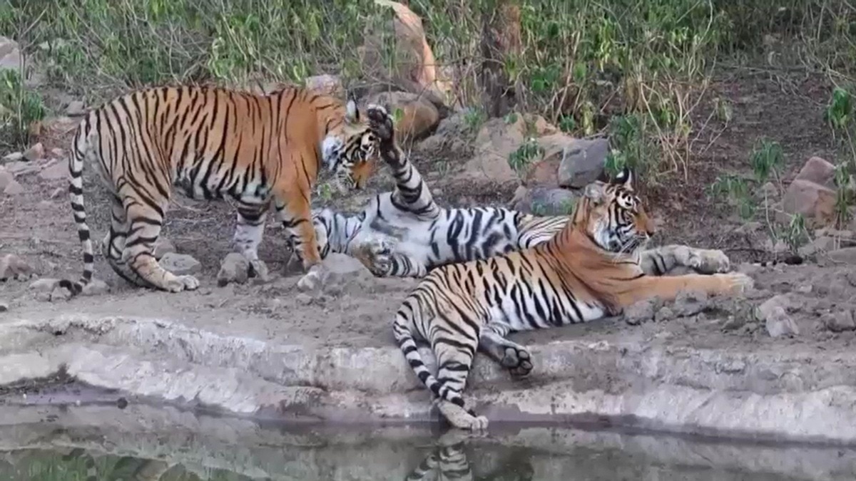 पर्यटकों की सुविधाओं को लेकर जल्द शुरू होगा कार्य. (Photo: Screengrabs)