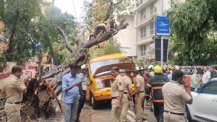 मुंबई के चेंबूर इलाके में स्कूल बस पर पेड़ गिर गया