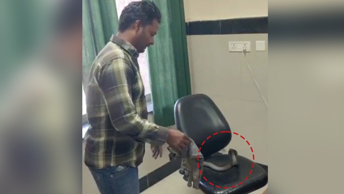 डॉक्टर की कुर्सी से किसी तरह सांप को हटाया गया (Photo: ITG)