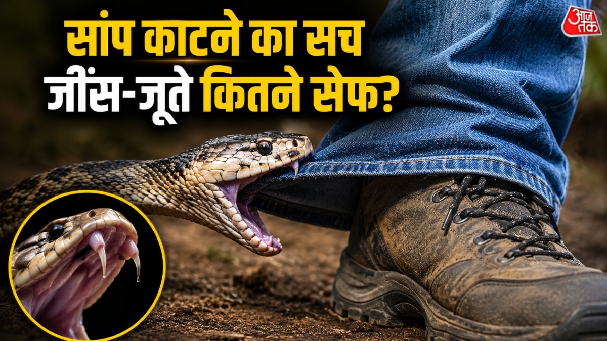 जींस-जूते पहने इंसान को सांप काट ले तो वो कितना सुरक्षित है? (Photo: AI Generated)