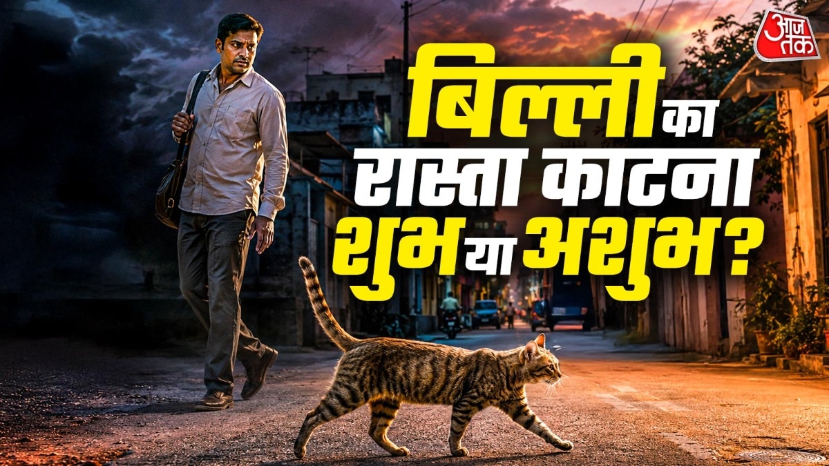 शकुन शास्त्र (Photo: ITG)