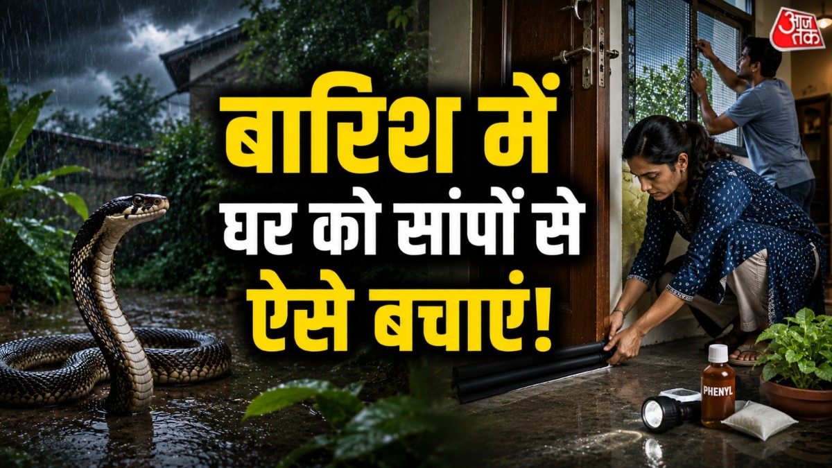 बारिश के मौसम में सांप की आवाजाही अधिक बढ़ जाती है. (Photo: AI Generated)