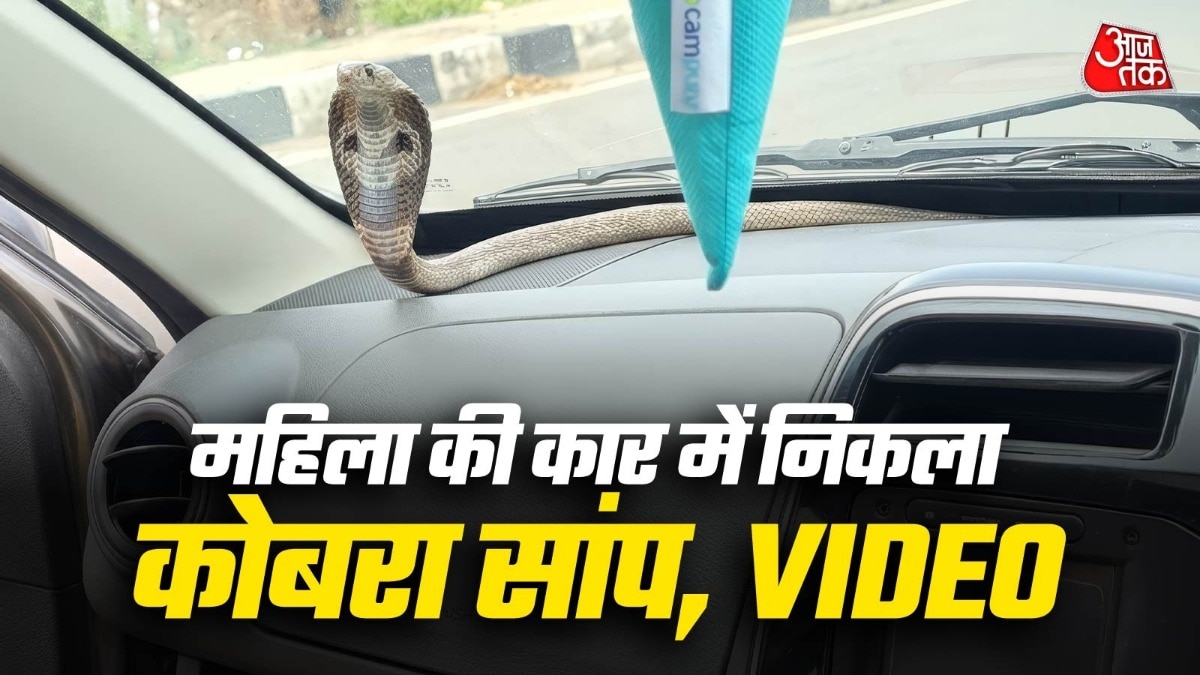 सांप देखते ही अक्सर लोगों के मन में डर बैठ जाता है. (Photo: Instagram)