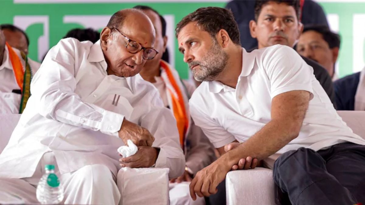 NCP (SP) नेता शरद पवार और लोकसभा में विपक्ष के नेता राहुल गांधी. (Photo: PTI)