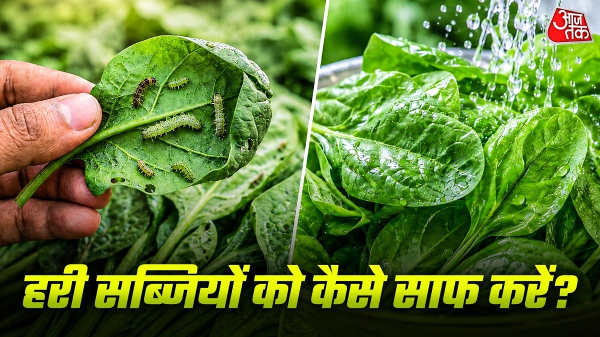हरी सब्जियों को बारिश में जरूर साफ करना चाहिए. (PHOTO:AI)