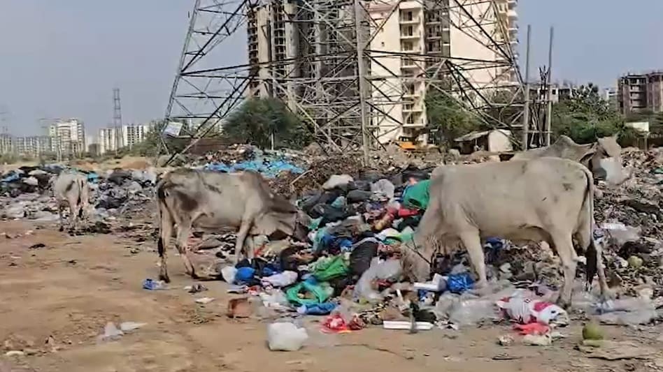 कूड़ा वहीं पड़ा, AI फोटो भेज बोलते- साफ हो गया... गुरुग्राम नगर निगम के चार 'स्मार्ट' कर्मचारी बर्खास्त - gurugram municipal corporation ai gps fraud four contract employees ...
