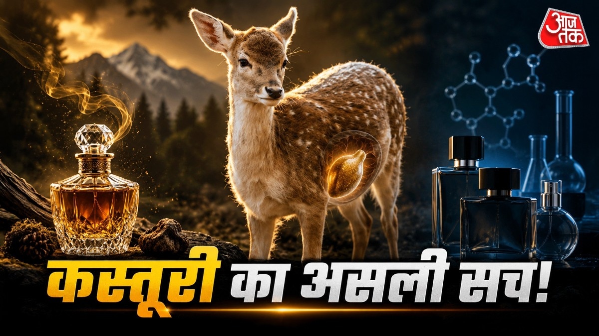 आज ज्यादातर महंगे परफ्यूम में आर्टिफिशियल मस्क का इस्तेमाल किया जाता है. ( Photo: ITG)