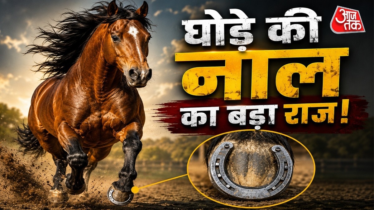 अधिकतर लोगों को लगता है कि घोड़े के खुर पत्थर की तरह कठोर होते हैं. लेकिन ऐसा नहीं है. ( Photo: ITG)