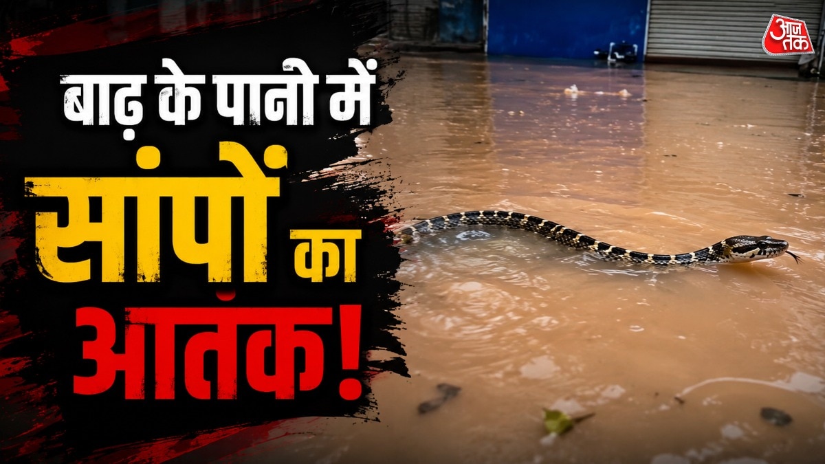 यह मामला चीन के गुआंग्शी झुआंग स्वायत्त क्षेत्र के हेंगझोउ के देंगवेई गांव का है (Photo:X/@TGTM_Official)