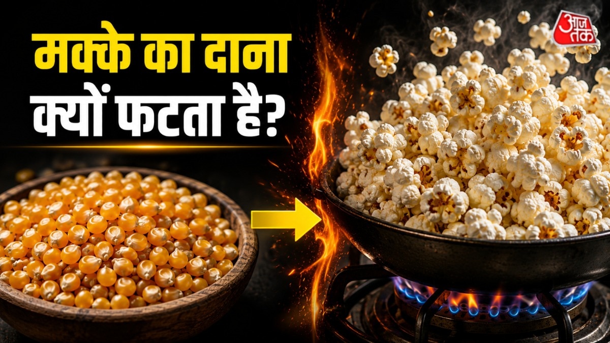 मक्के से पॉपकॉर्न बनने के पीछे एक साइंस है. (Photo: AI Generated)
