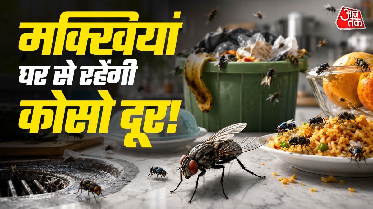 बारिश के मौसम में मक्खियां बहुत आती हैं. (Photo: ITG)