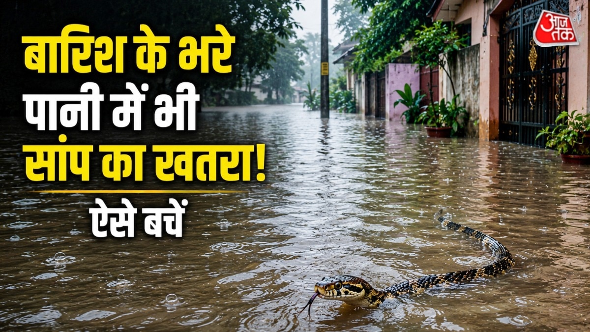 मानसून में सांपों से बचने के लिए कुछ तरीके अपनाने चाहिए. (Photo: AI Generated)