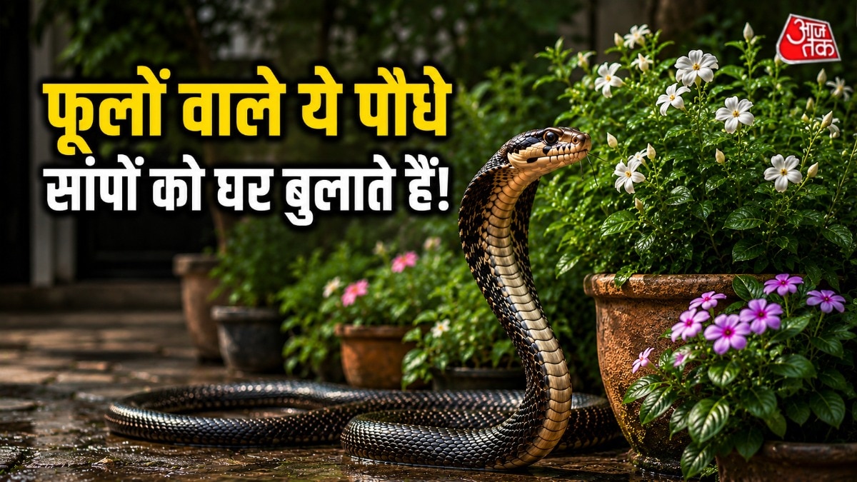 कुछ फूलों वाले पौधे सांप को अट्रैक्ट करते हैं. (Photo: AI Generated)