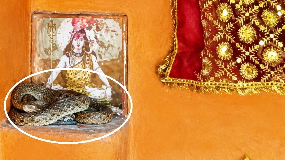 sagar snake coiled around lord shiva