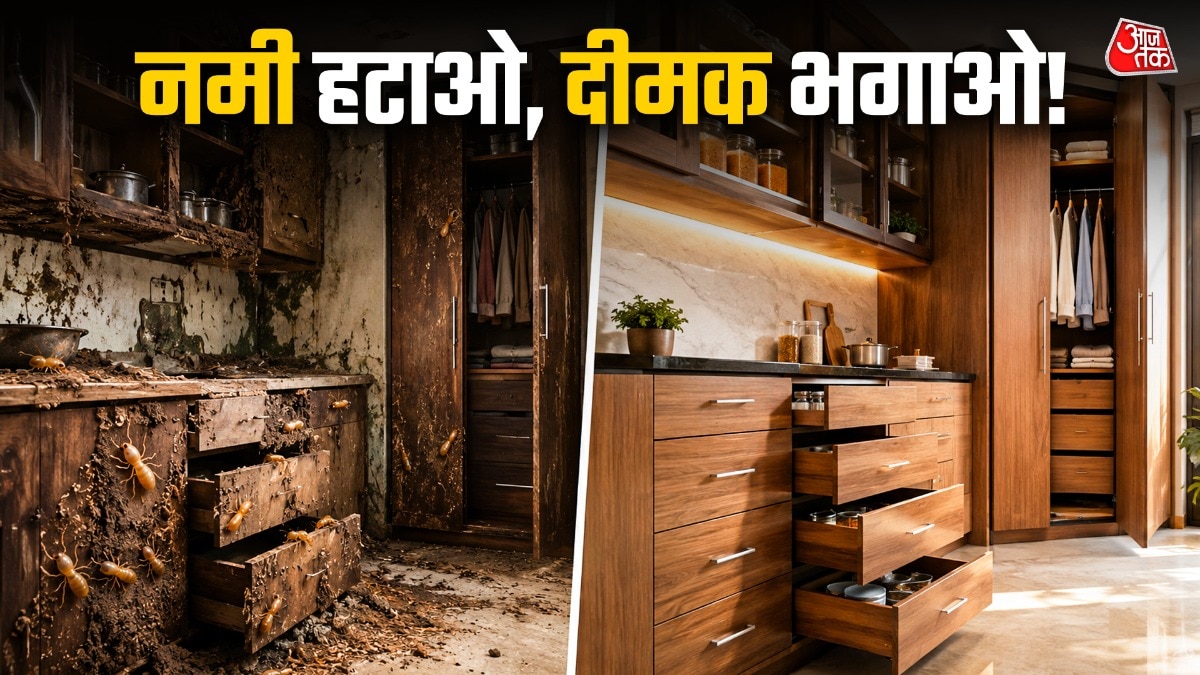 Wooden Furniture Termite Protection (Photo: ITG)