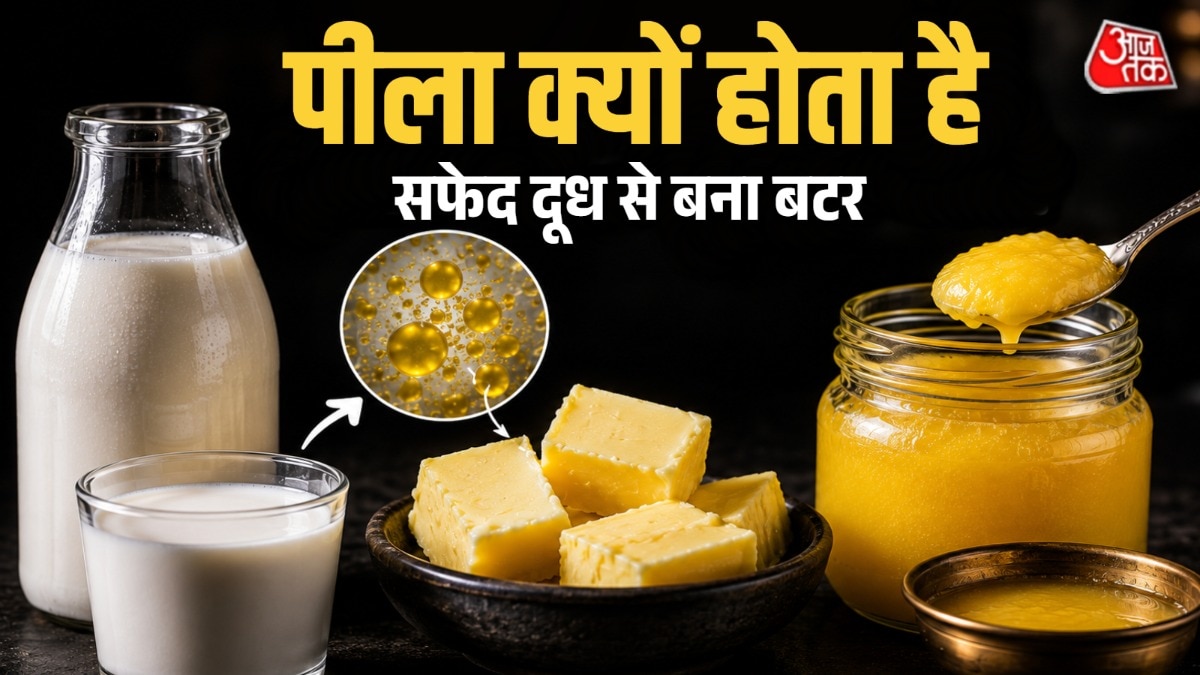 बटर भी मिल्क प्रोडक्ट है जिसे दूध से बनाया जाता है. (Photo: AI Generated)