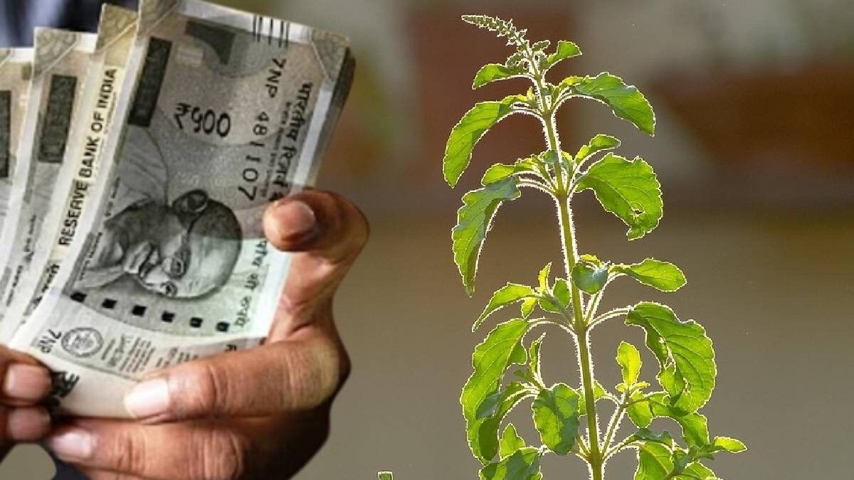 योगिनी एकादशी पर तुलसी के पास जलाएं बस एक दीपक