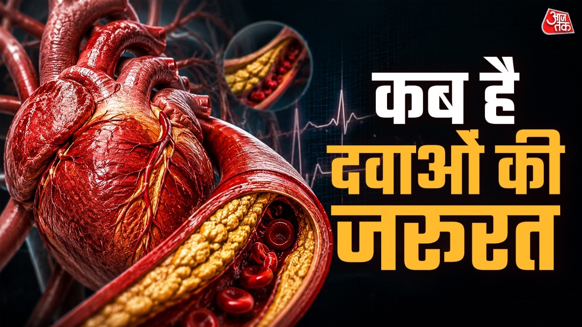कोलेस्ट्रॉल बढ़ना कब है खतरनाक ( PHOTO-ITGD)