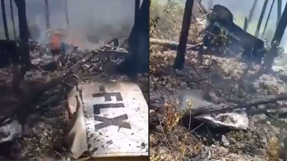 बहामास में स्वतंत्रता दिवस के जश्न के बीच बड़ा विमान हादसा हुआ है (Photo-Screengrab)
