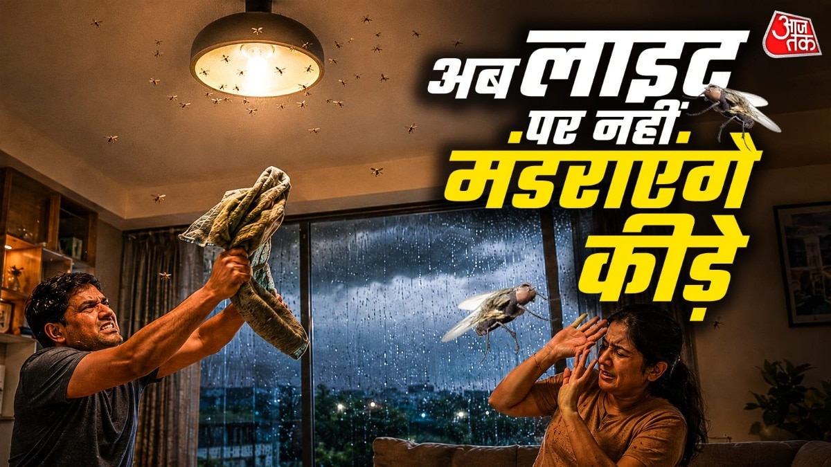 बारिश में उड़ने वाले कीड़े से ऐसे बचें (Photo-ITG)