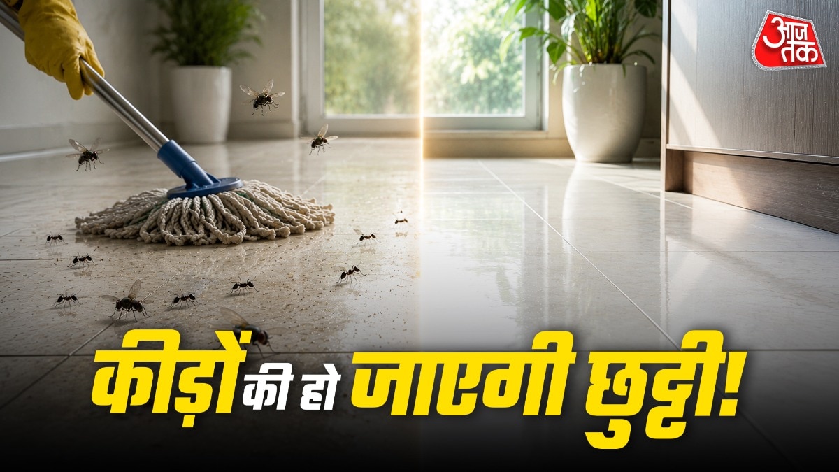 How To Get Rid Of Flies (Photo: ITG)