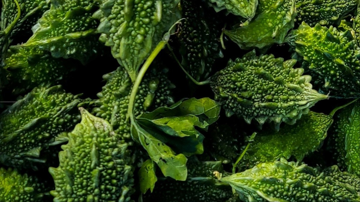 सेहत के लिए वरदान है करेला (Photo-Pexels)