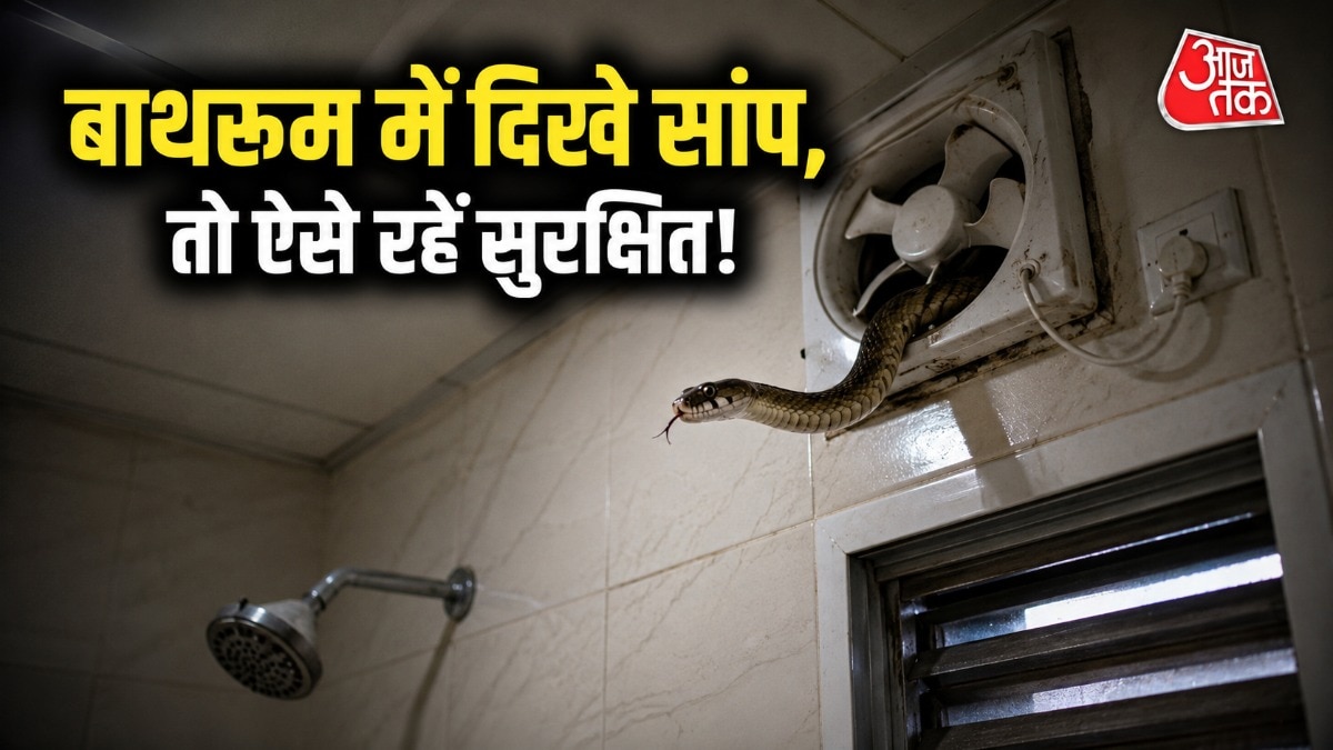 बाथरूम में सांप देखते ही लोगों के पसीने छूट सकते हैं. (Photo: AI Generated)