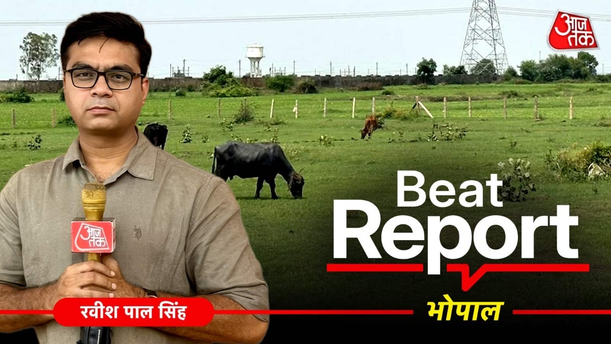 Buffaloes in fields, B.Ed. colleges on paper