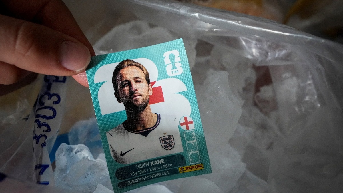 Argentina vs England: Harry Kane को 'फ्रीज' कर जीत की दुआ, सेमीफाइनल से पहले अजब परंपरा (Photo: Reuters)