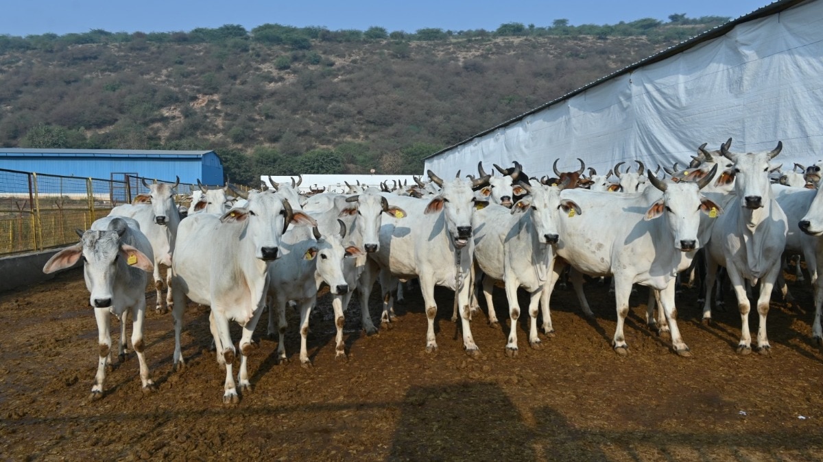 57.36 करोड़ की रिकवरी के दिए गए आदेश.(Photo: Sharat Kumar/ITG)