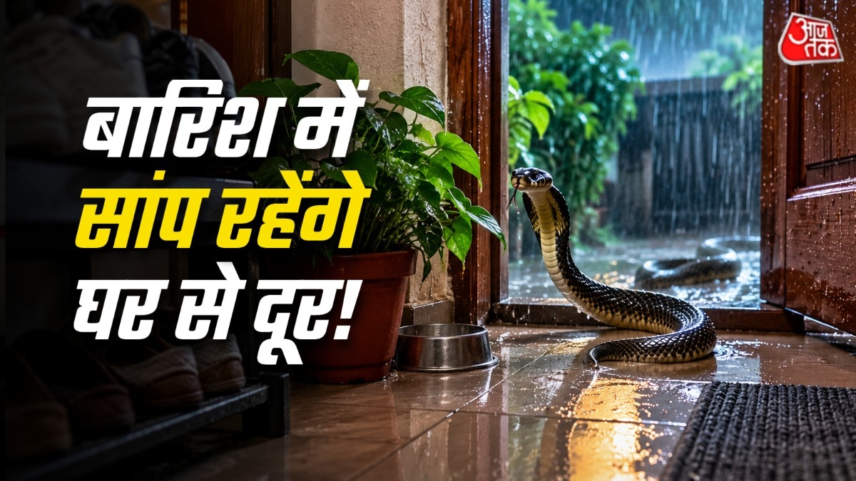 बारिश में सांप अक्सर शहरी इलाकों का रुख कर लेते हैं. (Photo: AI Generated)