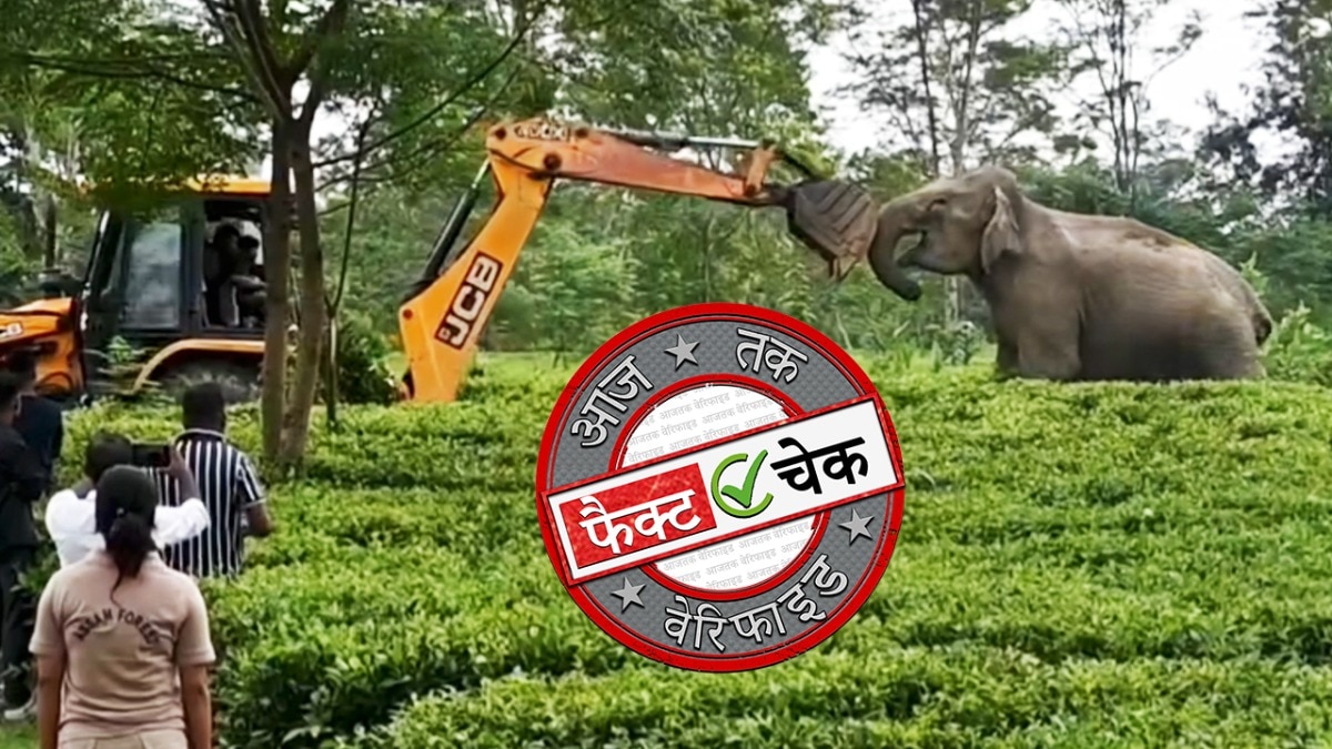 सोशल मीडिया यूजर्स