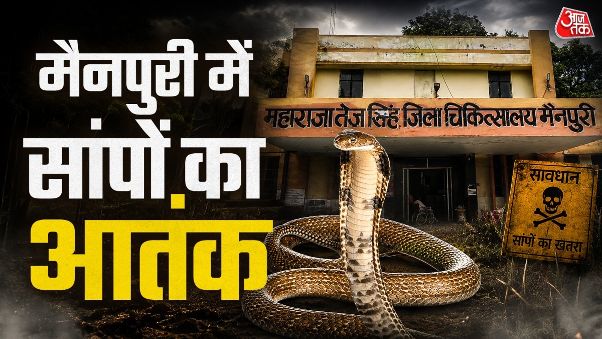 मैनपुरी में सांपों का खूनी खेल: सात महीने में 194 लोगों को डसा, अंधविश्वास में झाड़-फूंक कराना पड़ रहा भारी