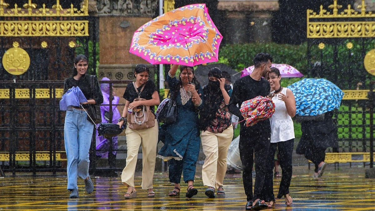 IMD ने आज यूपी के कई जिलों में भारी बारिश का अलर्ट जारी किया है (Photo: PTI)