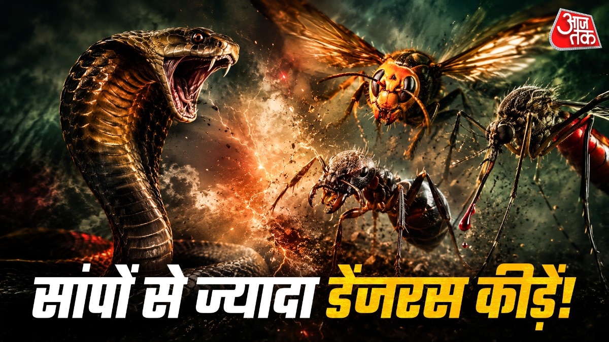सांप से भी ज्यादा खतरनाक हैं ये 6 कीड़े! जानें बचाव के तरीके