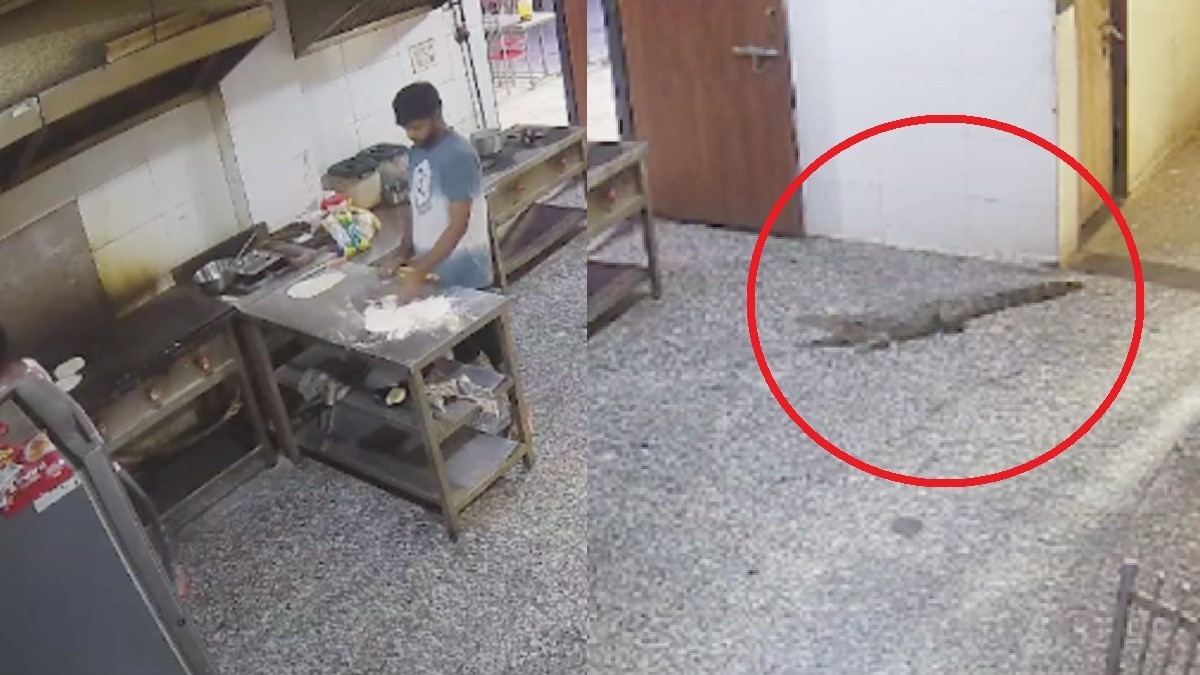 CCTV में कैद हुई पूरी घटना.(Photo:Screengrab)