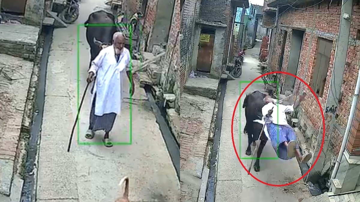 अस्पताल में इलाज के बाद बुजुर्ग को मिली छुट्टी.(Photo: Screengrab)