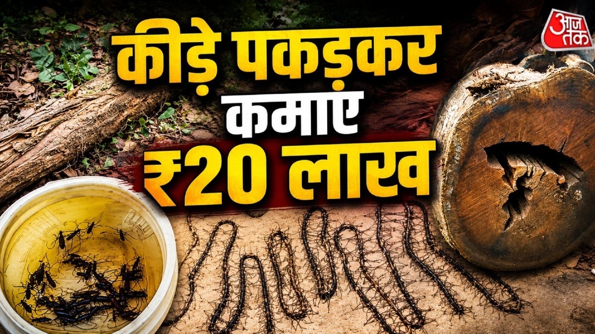 ग्रामीणों ने बना डाली 10 लाख कीड़ों के सिरों की माला.(Photo:ITG)