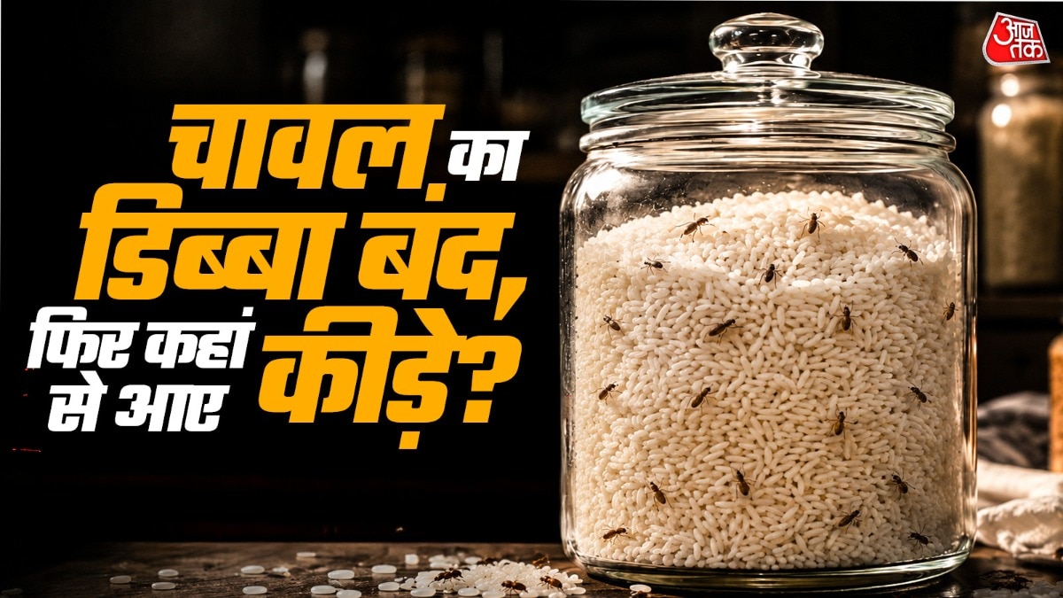 चावल के डिब्बे में अक्सर कीड़े दिख जाते हैं, भले ही उसे कितना भी टाइट पैक किया हो. पड़ते हैं. (Photo: AI Generated)